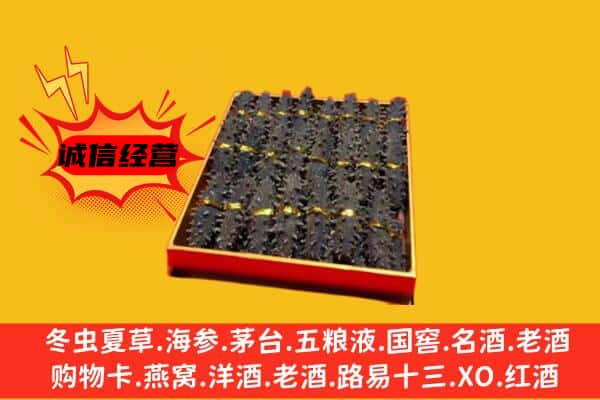 阿里普兰县回收海参